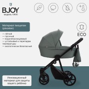 BJOY VIKKI LT